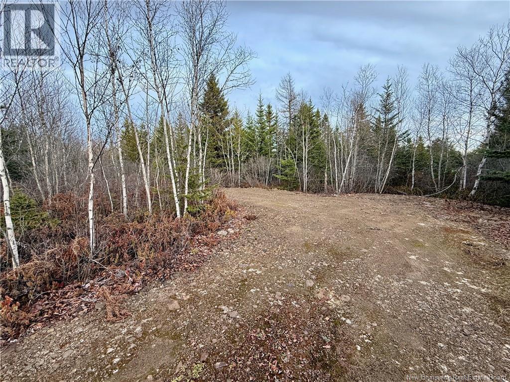 1192 Rte 935, Rockport, New Brunswick  E4K 3N1 - Photo 15 - NB130473