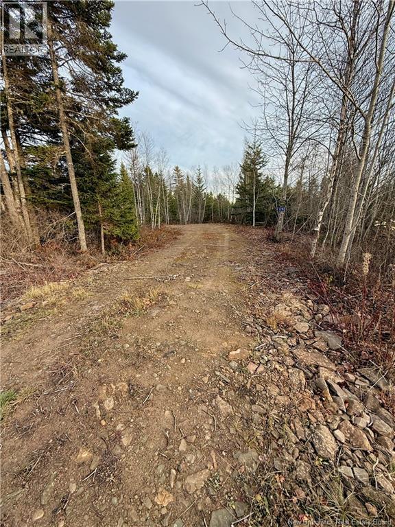 1192 Rte 935, Rockport, New Brunswick  E4K 3N1 - Photo 8 - NB130473