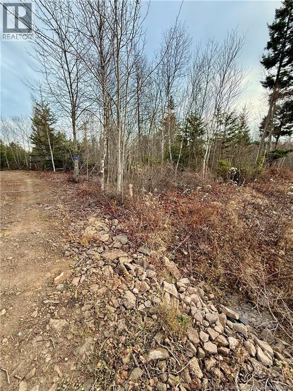 1192 Rte 935, Rockport, New Brunswick  E4K 3N1 - Photo 9 - NB130473