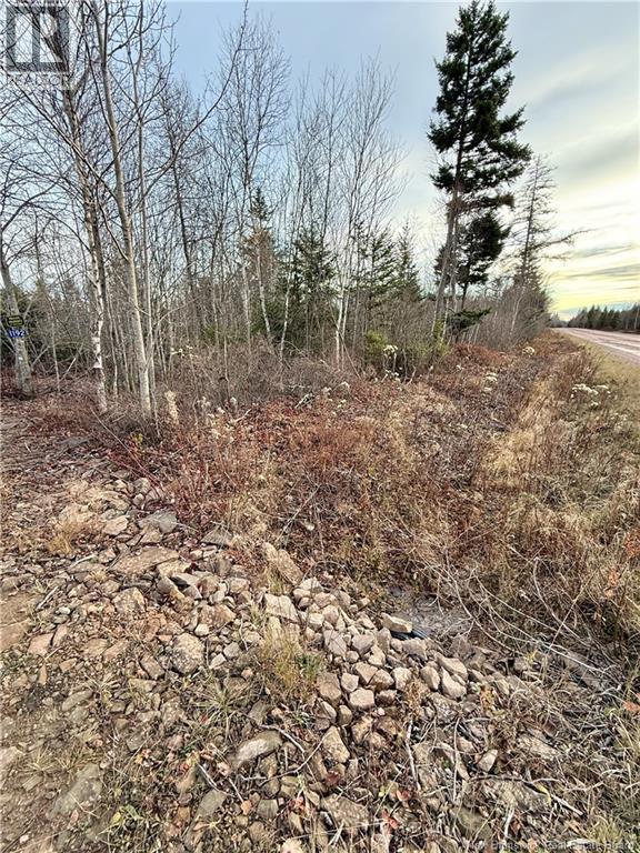 1192 Rte 935, Rockport, New Brunswick  E4K 3N1 - Photo 10 - NB130473