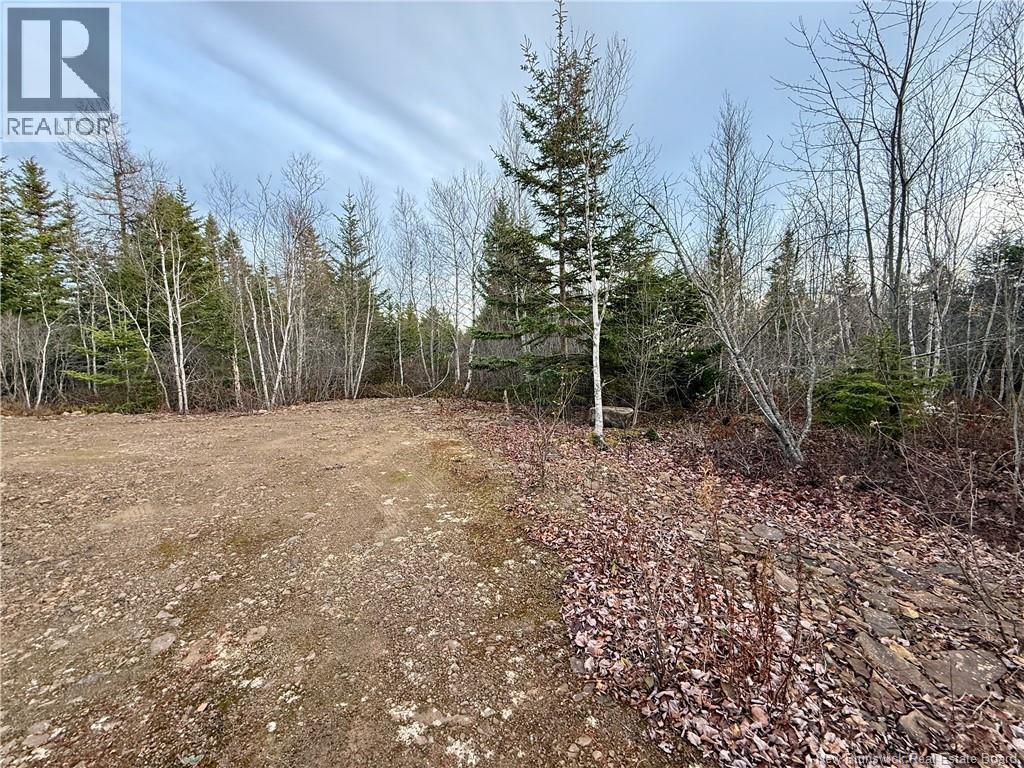 1192 Rte 935, Rockport, New Brunswick  E4K 3N1 - Photo 14 - NB130473