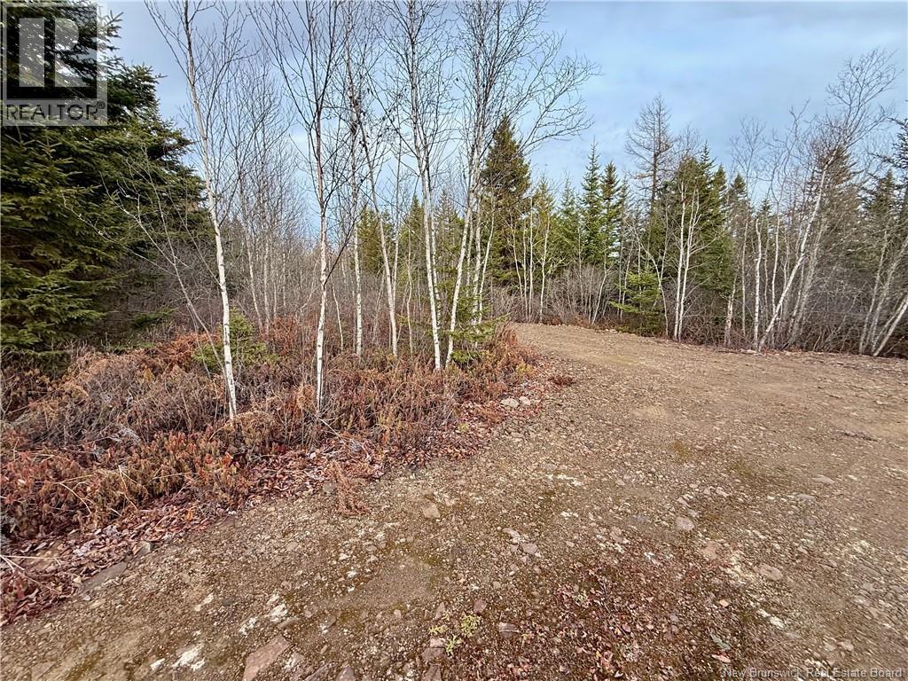 1192 Rte 935, Rockport, New Brunswick  E4K 3N1 - Photo 16 - NB130473