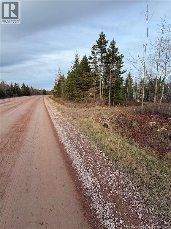 1192 Rte 935, Rockport, New Brunswick  E4K 3N1 - Photo 7 - NB130473