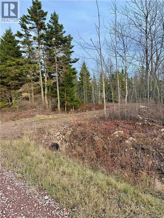 1192 Rte 935, Rockport, New Brunswick  E4K 3N1 - Photo 5 - NB130473