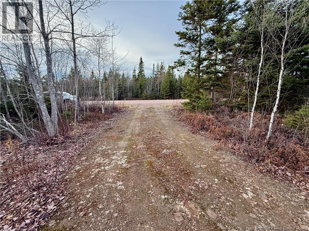 1192 Rte 935, Rockport, New Brunswick  E4K 3N1 - Photo 17 - NB130473