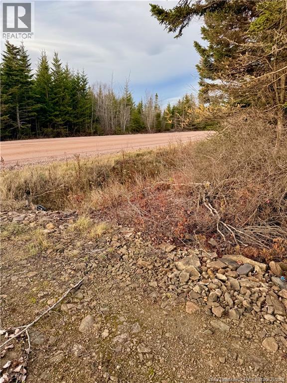 1192 Rte 935, Rockport, New Brunswick  E4K 3N1 - Photo 18 - NB130473