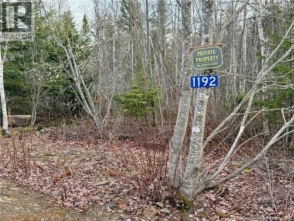 1192 Rte 935, Rockport, New Brunswick  E4K 3N1 - Photo 12 - NB130473
