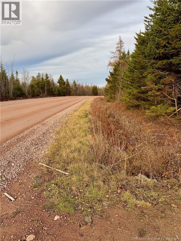 1192 Rte 935, Rockport, New Brunswick  E4K 3N1 - Photo 19 - NB130473