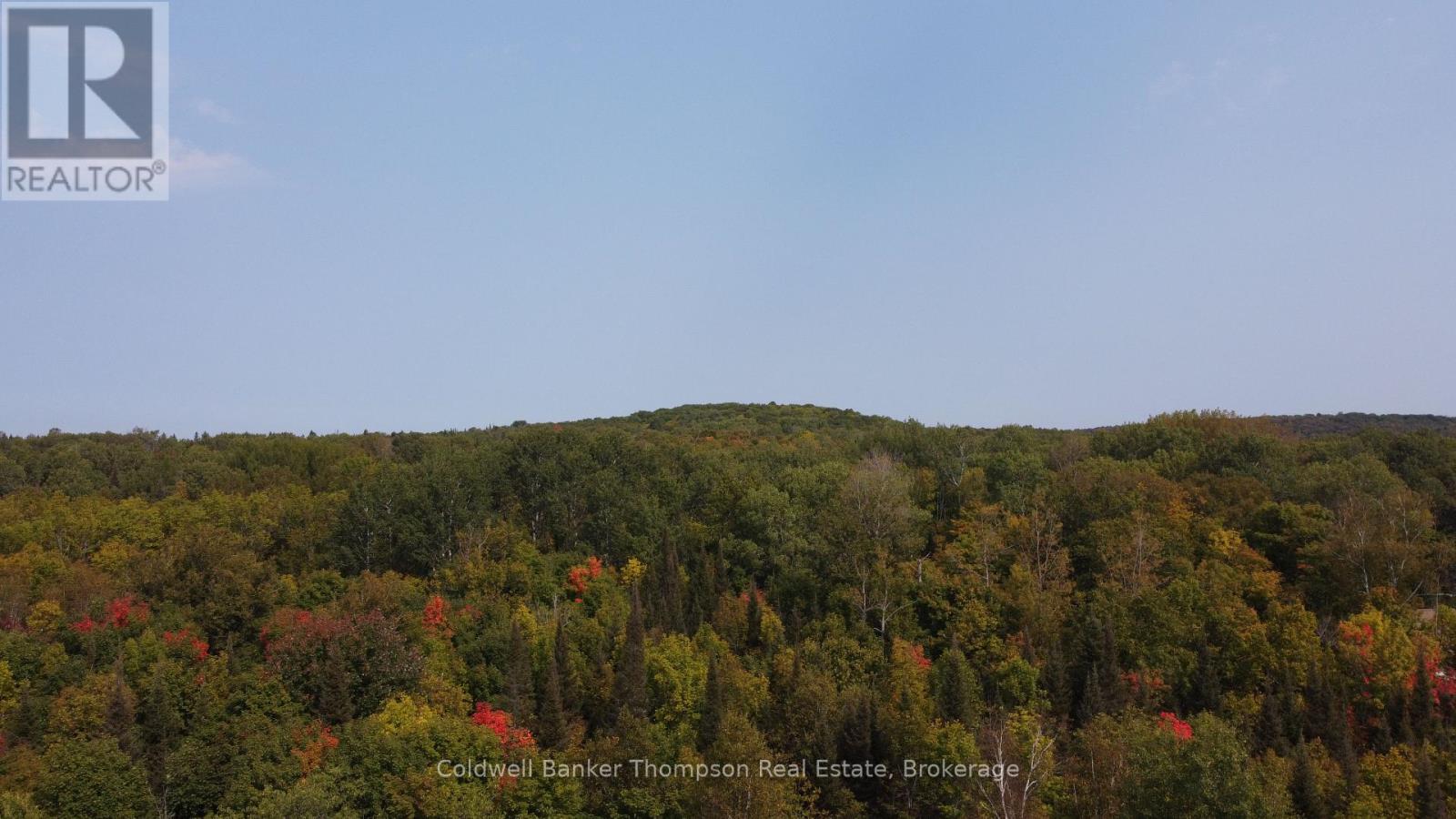 1471 Pickerel & Jack Lake Road, Armour, Ontario P0A 1Z0 - Photo 13 - X12885042