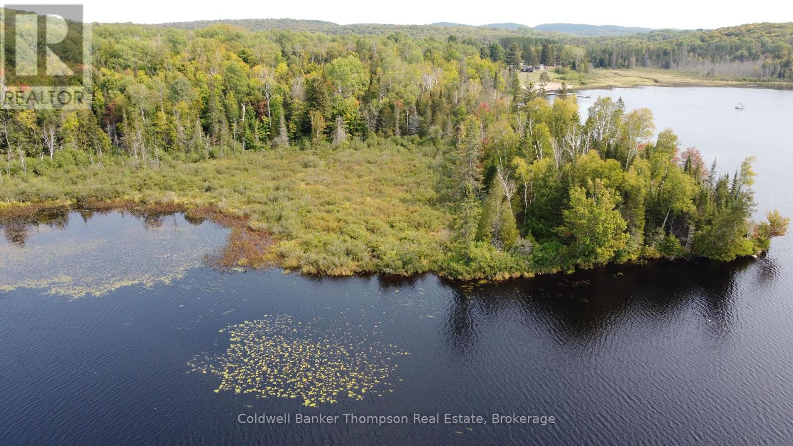 1471 Pickerel & Jack Lake Road, Armour, Ontario P0A 1Z0 - Photo 15 - X12885042