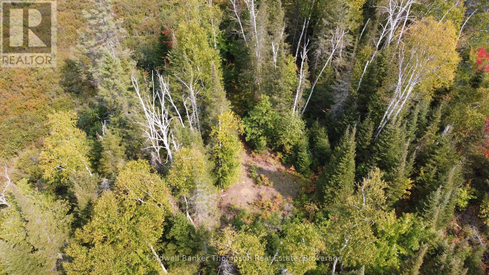 1471 Pickerel & Jack Lake Road, Armour, Ontario P0A 1Z0 - Photo 21 - X12885042