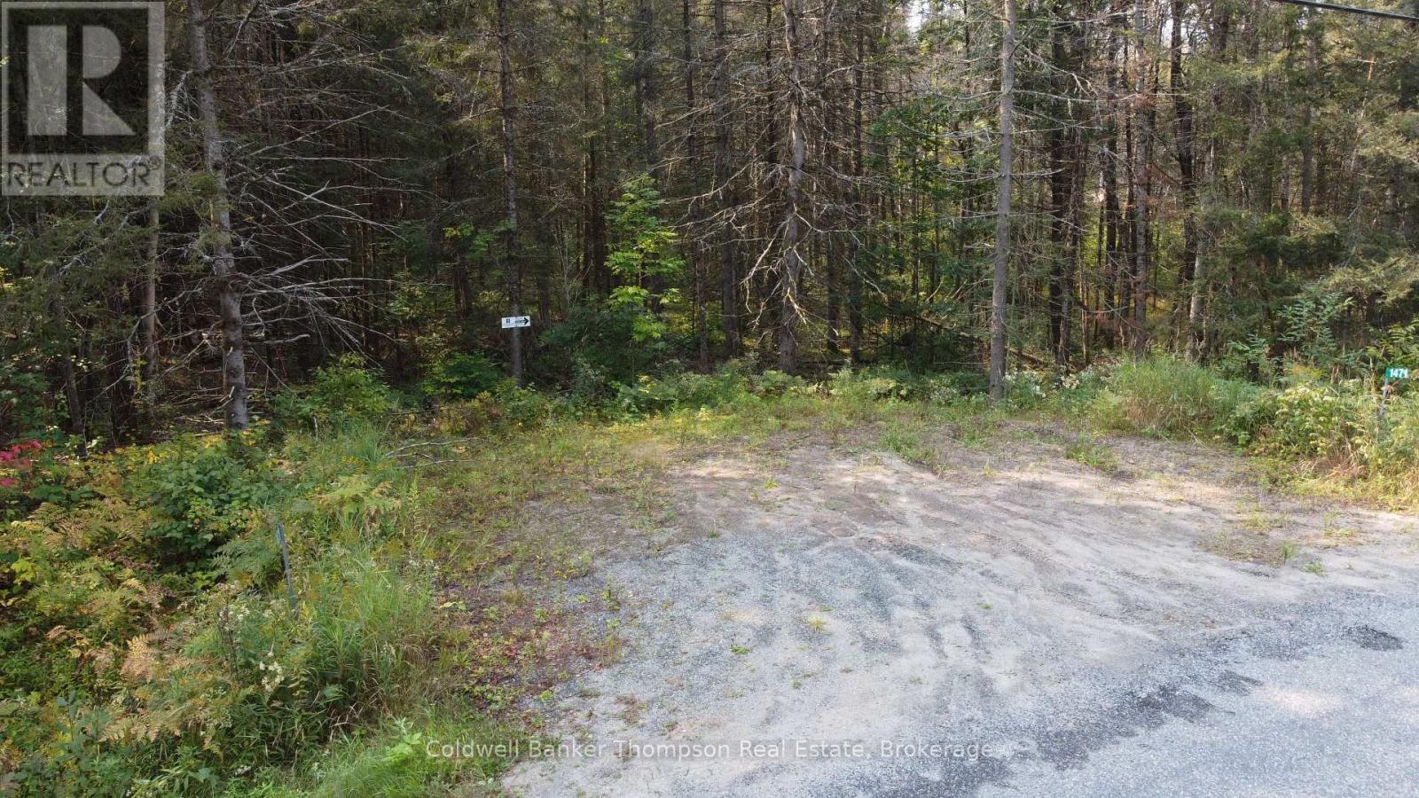 1471 Pickerel & Jack Lake Road, Armour, Ontario P0A 1Z0 - Photo 4 - X12885042