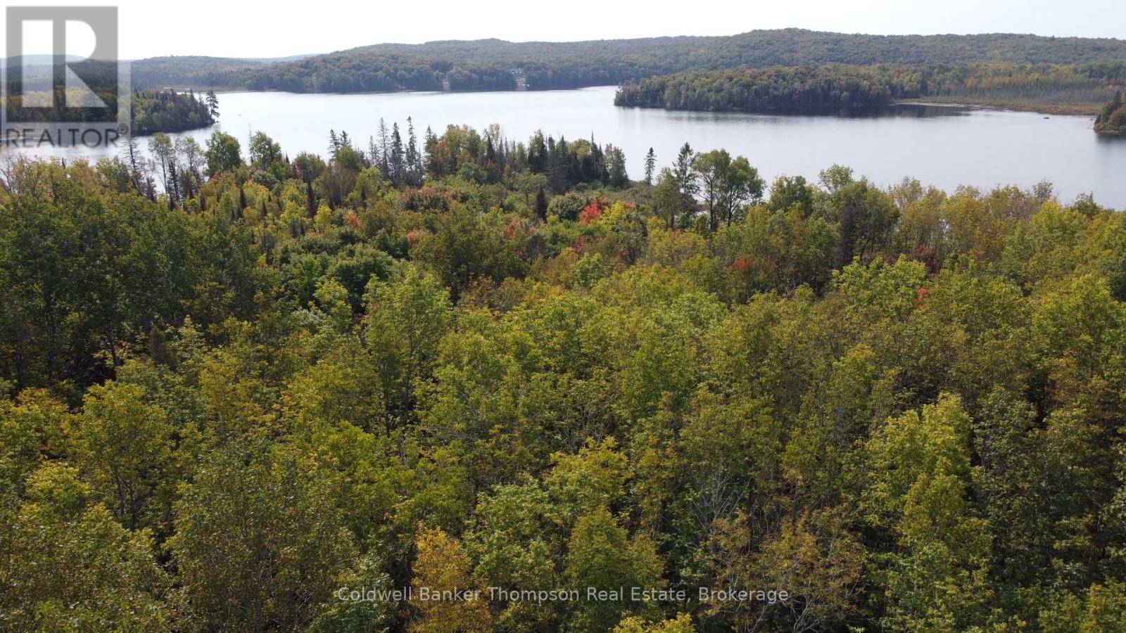 1471 Pickerel & Jack Lake Road, Armour, Ontario P0A 1Z0 - Photo 6 - X12885042