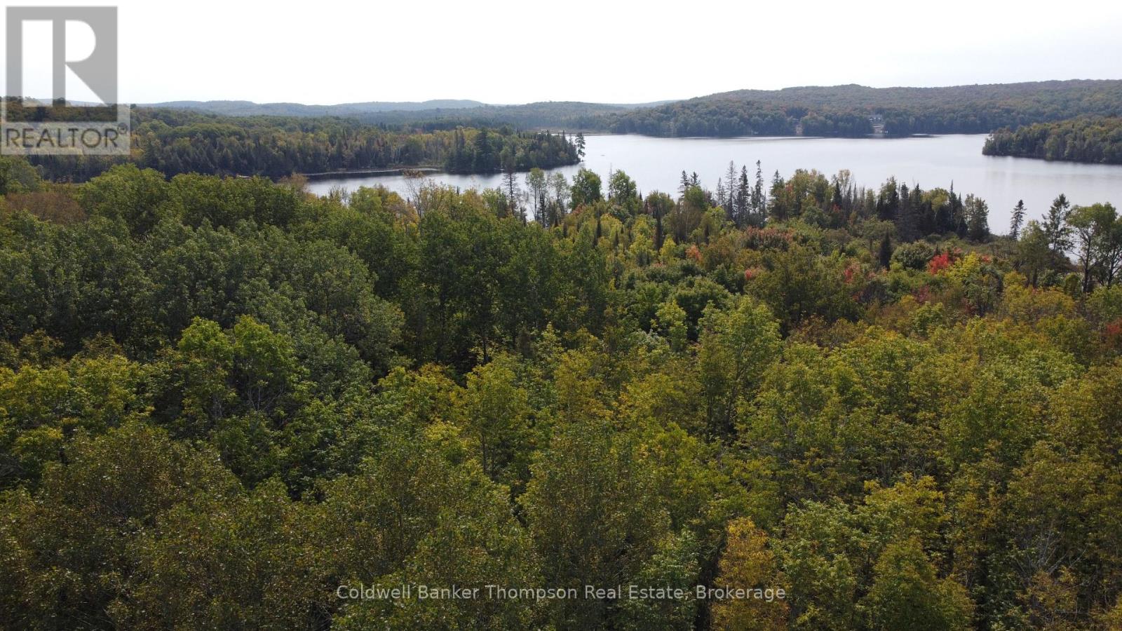 1471 Pickerel & Jack Lake Road, Armour, Ontario P0A 1Z0 - Photo 7 - X12885042