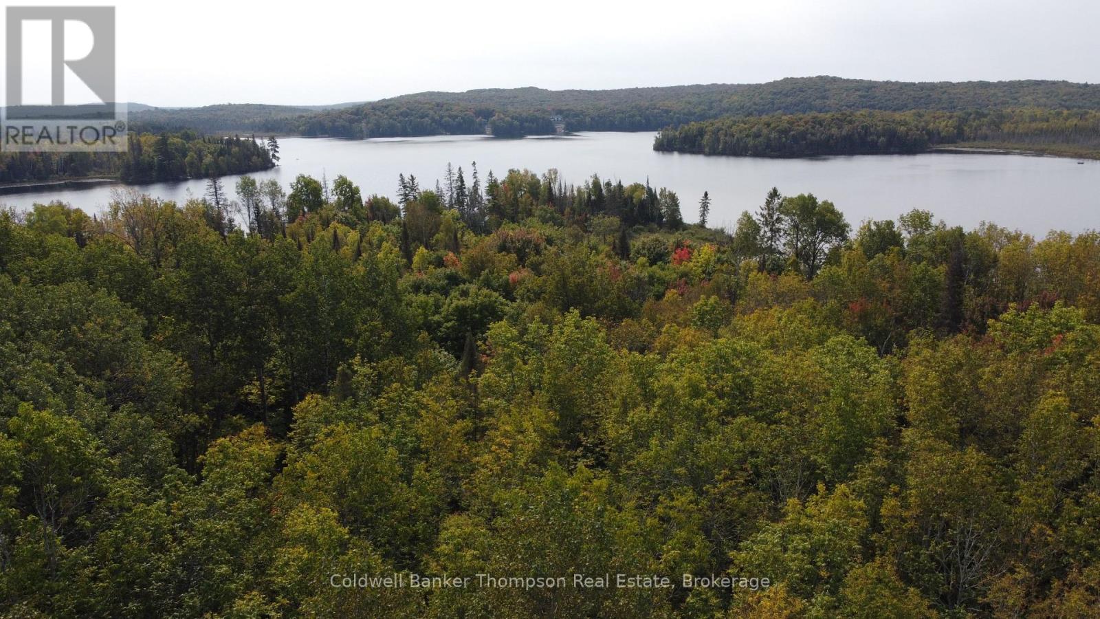 1471 Pickerel & Jack Lake Road, Armour, Ontario P0A 1Z0 - Photo 8 - X12885042