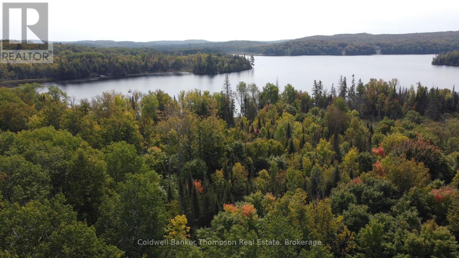 1471 Pickerel & Jack Lake Road, Armour, Ontario P0A 1Z0 - Photo 9 - X12885042