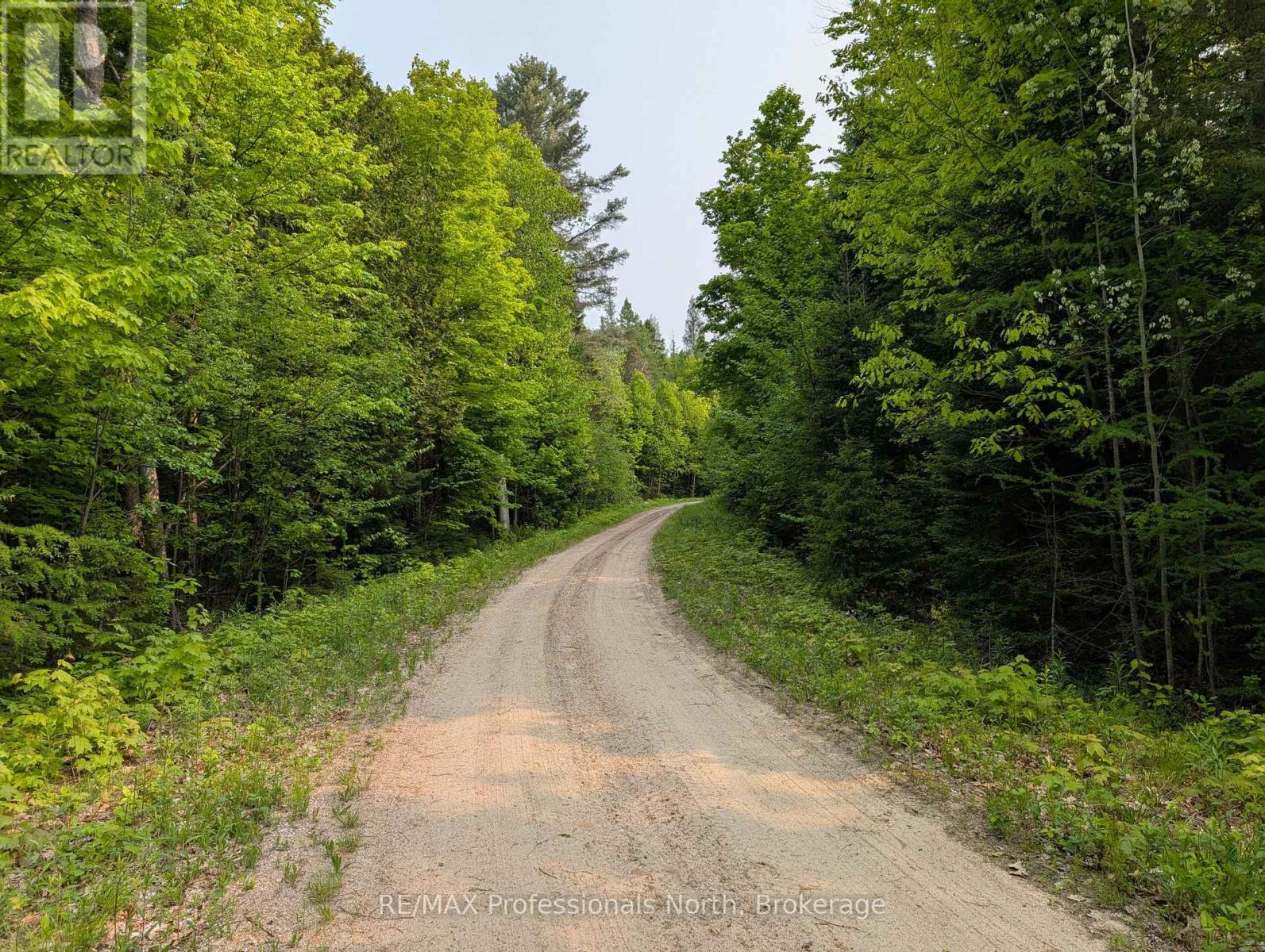 0 Woods Road, Parry Sound Remote Area (Lount), Ontario  P0A 1X0 - Photo 10 - X12885152