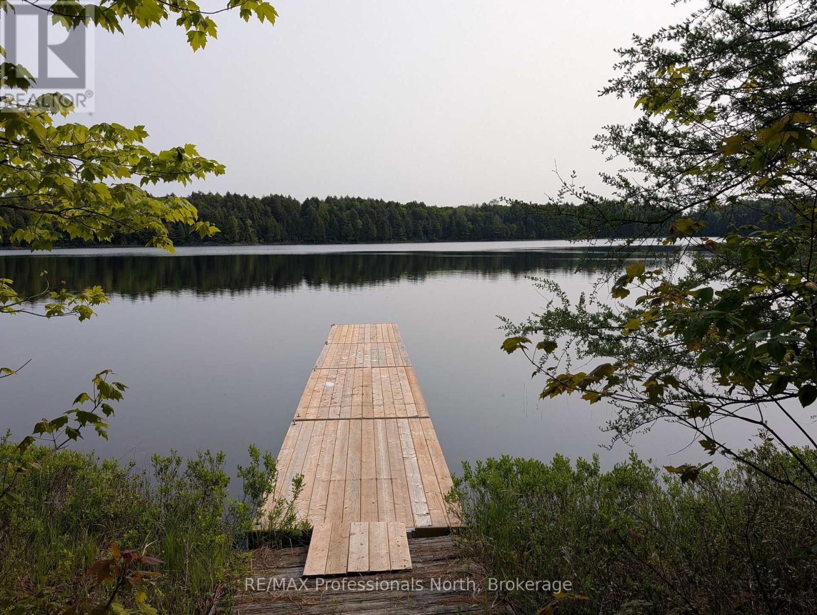 0 Woods Road, Parry Sound Remote Area (Lount), Ontario  P0A 1X0 - Photo 13 - X12885152