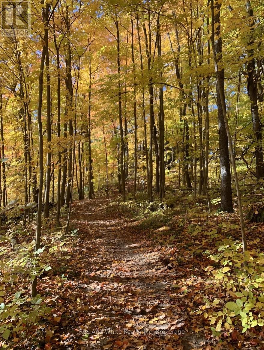 441 Woodbine Avenue, Kitchener, Ontario  N2R 0A6 - Photo 43 - X12885178