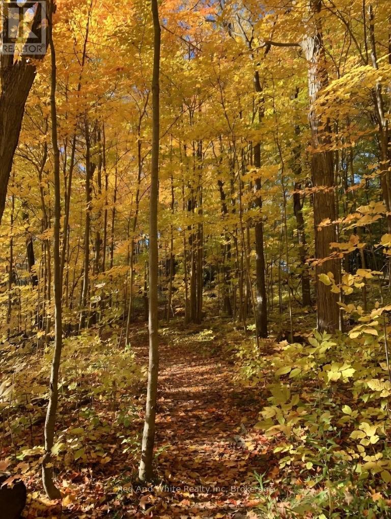 441 Woodbine Avenue, Kitchener, Ontario  N2R 0A6 - Photo 44 - X12885178