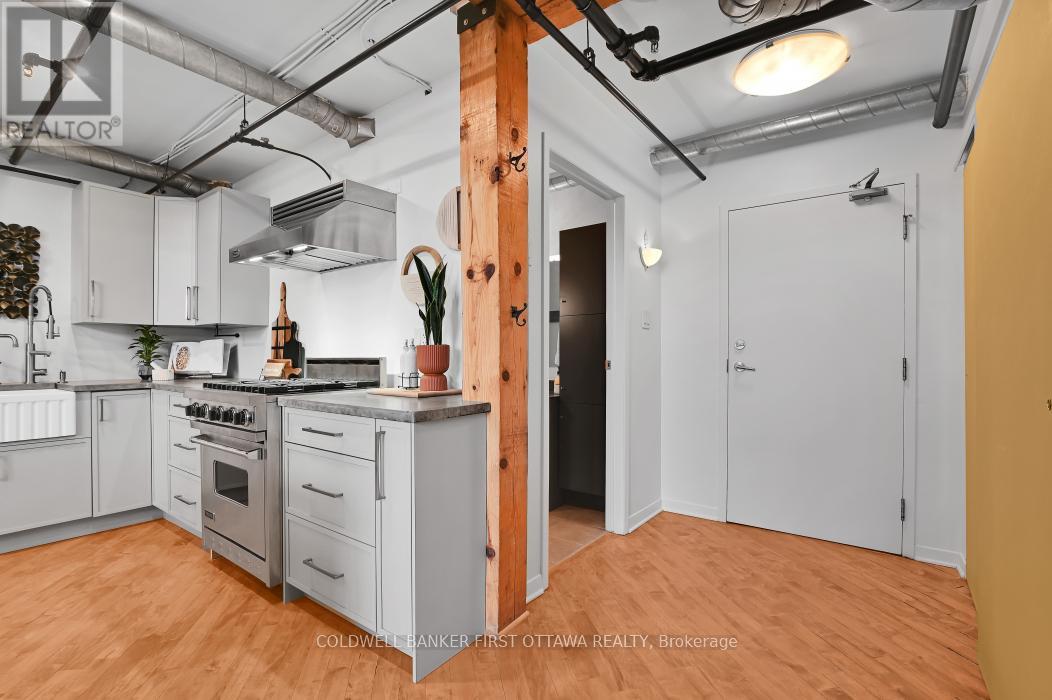 303 - 95 Beech Street, Ottawa, Ontario  K1S 3J7 - Photo 5 - X12885200