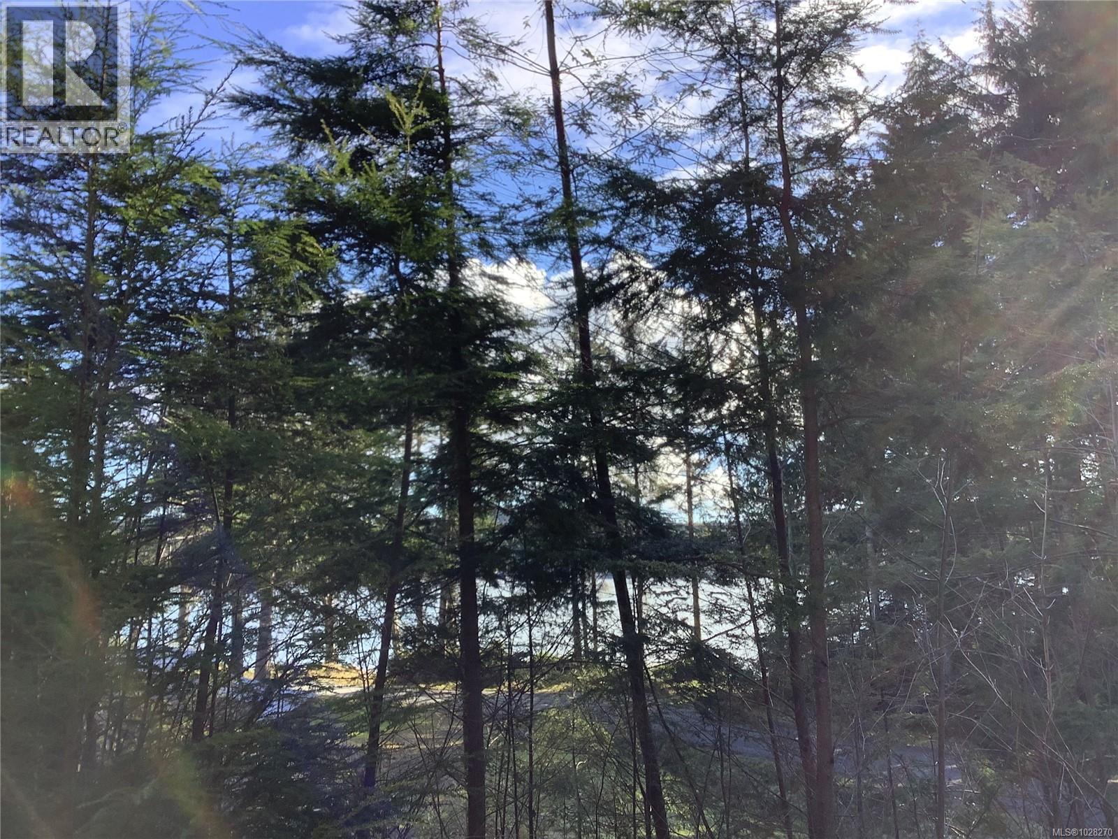 1 1st St, Sointula, British Columbia