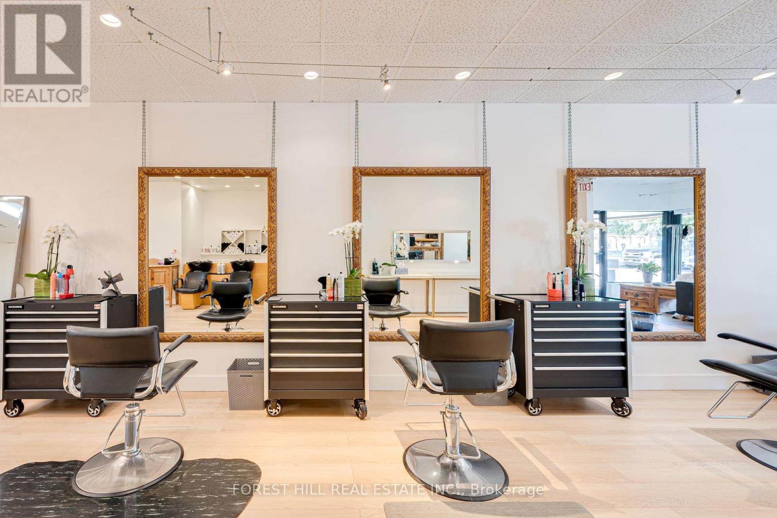 3 - 49 Mississauga Road N, Mississauga, Ontario  L5H 2H9 - Photo 19 - W12690656