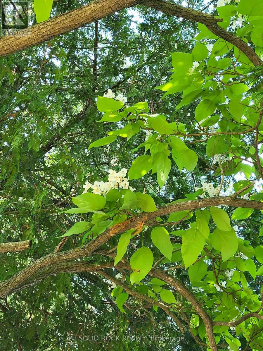 147 Cedar Drive, Trent Hills (Hastings), Ontario  K0L 1Z0 - Photo 36 - X12885598