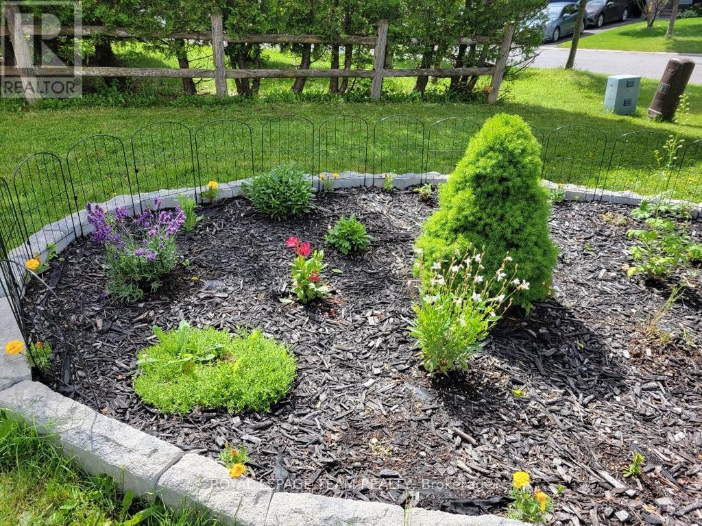 353 Brigitta Street, Ottawa, Ontario  K2S 0H9 - Photo 34 - X12885594