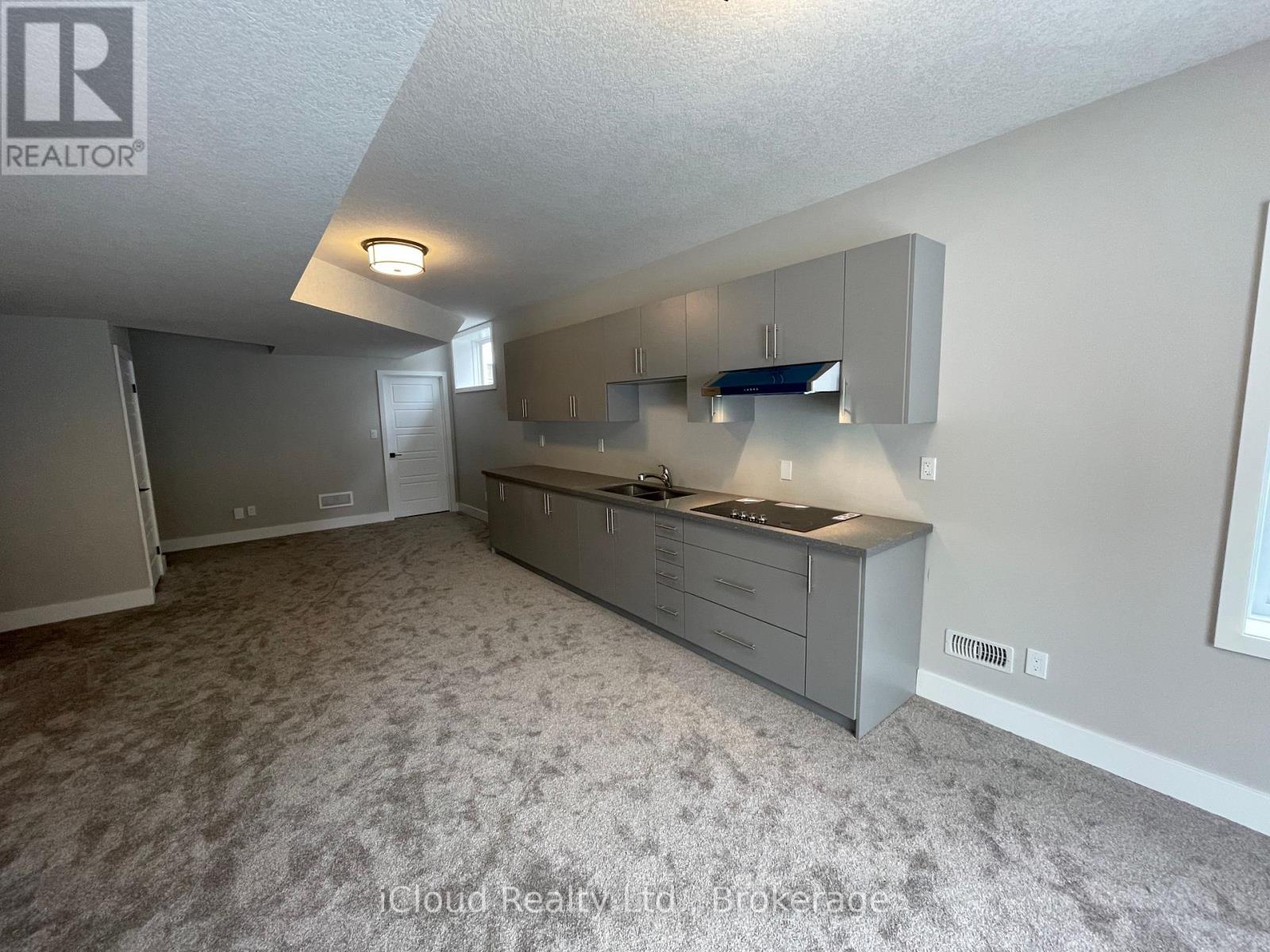 Lower - 27 Hollybrook Trail, Kitchener, Ontario  N2R 1M2 - Photo 4 - X12885632