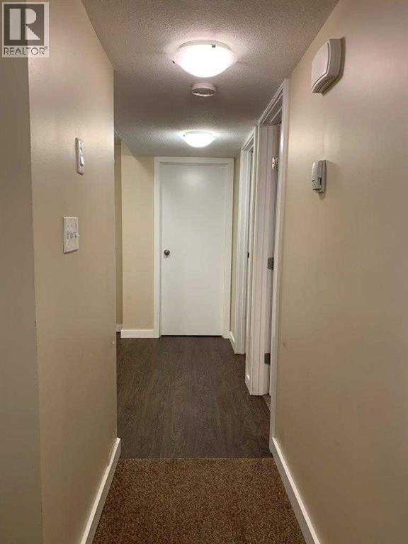 6014 56 Avenue, Red Deer, Alberta  t4n 4r4 - Photo 11 - A2280230