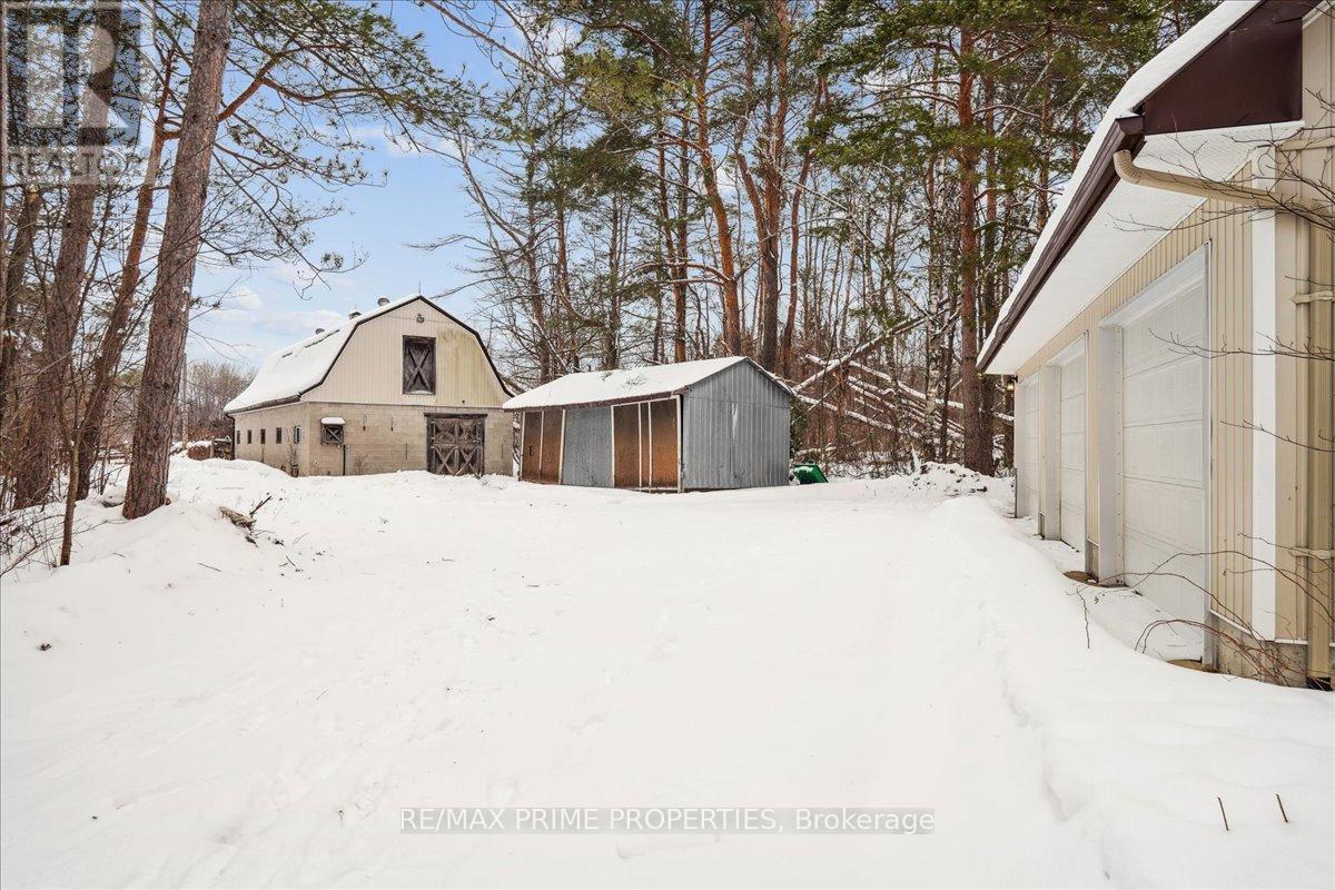 3016 Cole Road, East Gwillimbury, Ontario  L0G 1R0 - Photo 12 - N12885732