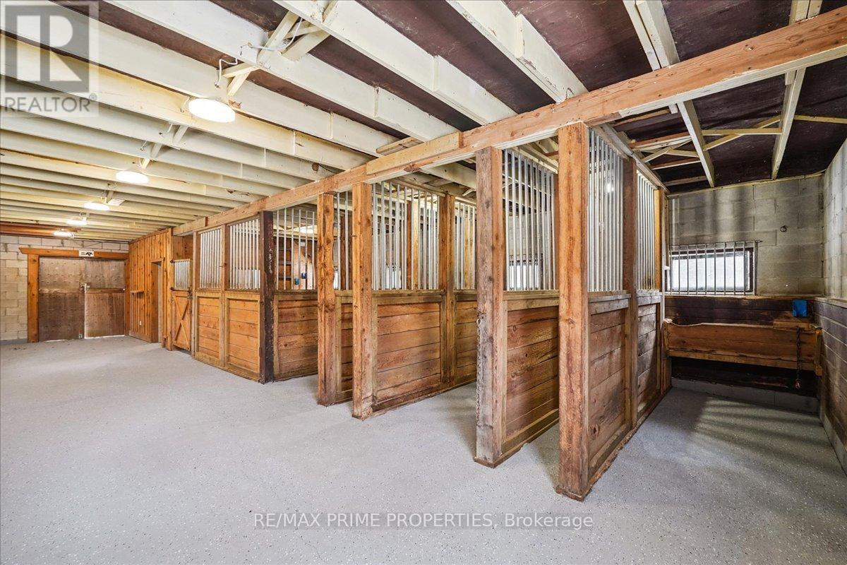 3016 Cole Road, East Gwillimbury, Ontario  L0G 1R0 - Photo 16 - N12885732