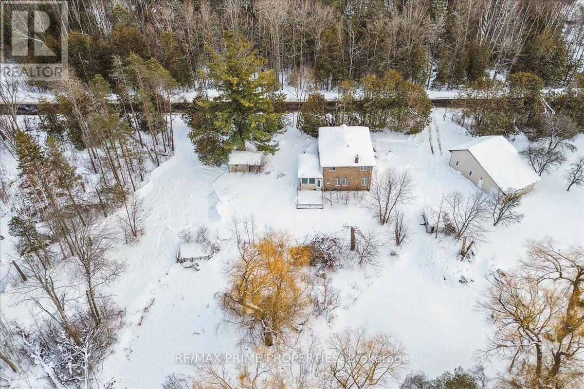 3016 Cole Road, East Gwillimbury, Ontario  L0G 1R0 - Photo 19 - N12885732