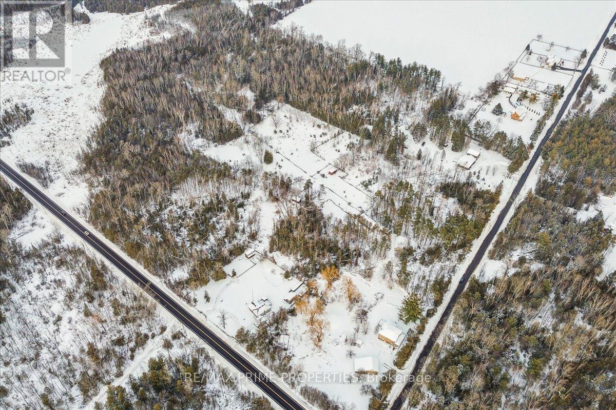 3016 Cole Road, East Gwillimbury, Ontario  L0G 1R0 - Photo 21 - N12885732