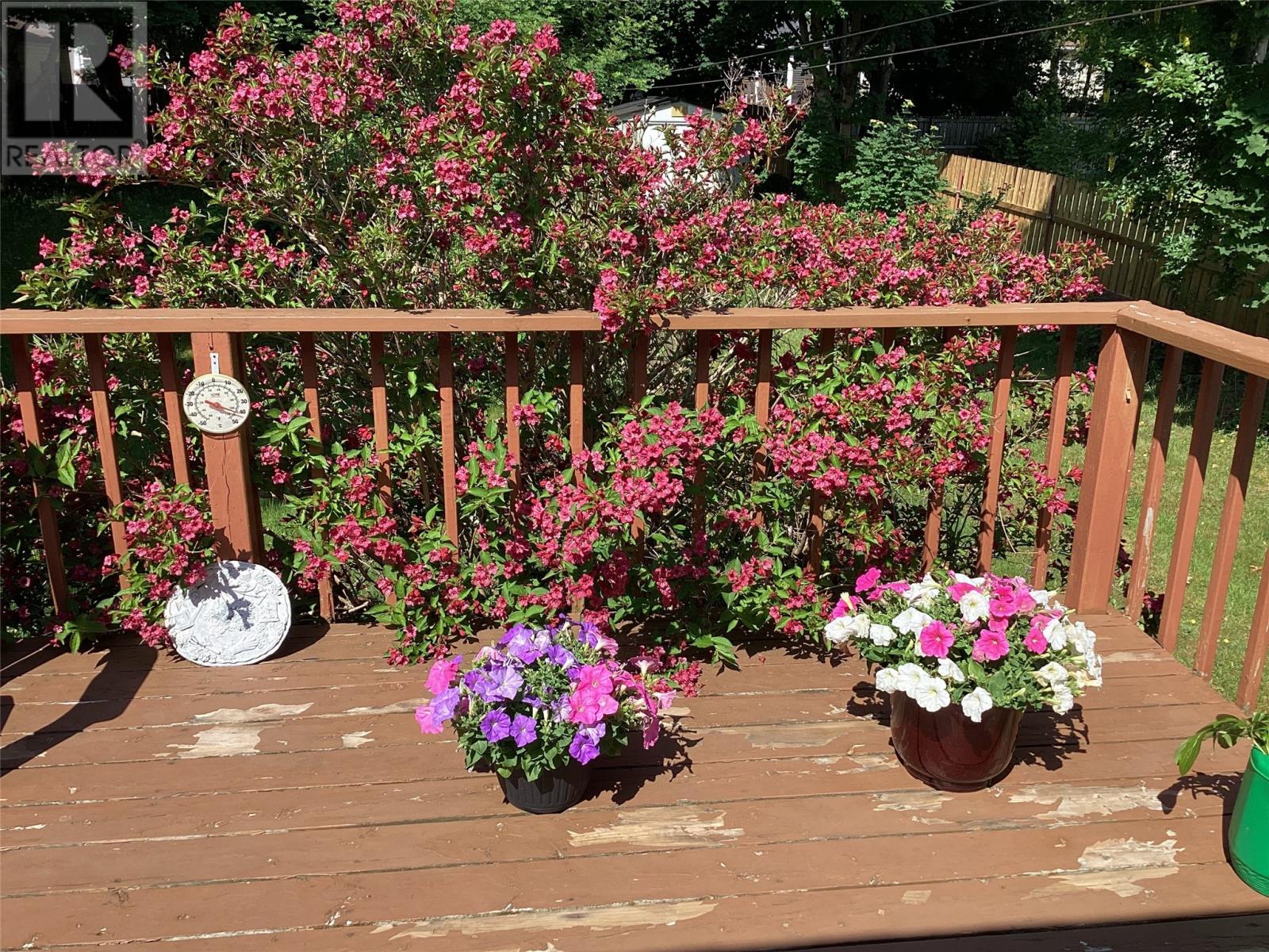 24 Firgreen Avenue, Mount Pearl, Newfoundland & Labrador  A1N 1T7 - Photo 40 - 1295230