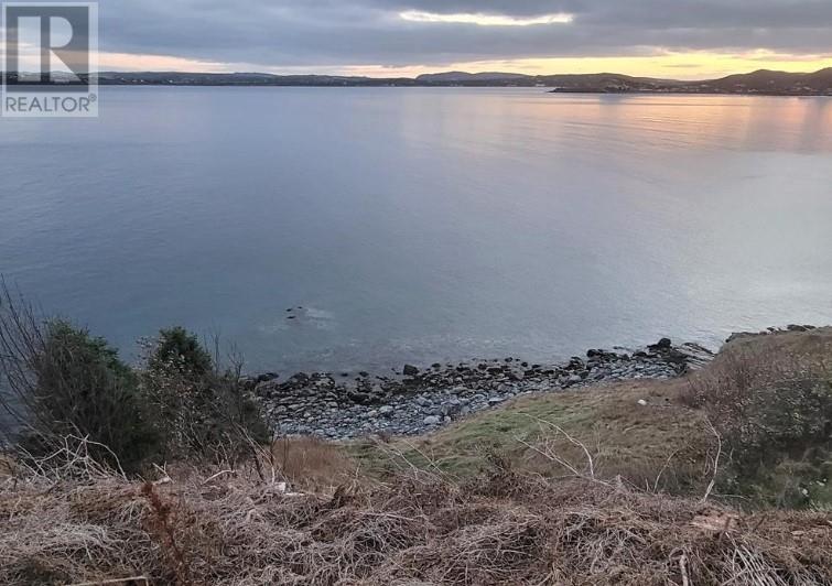 104 Bishops Cove Shore Road, Spaniards Bay, Newfoundland & Labrador  A0A 3X0 - Photo 7 - 1269314