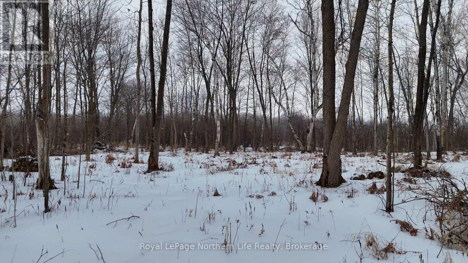 Part 3 Lot 26 Tillicum Bay Road, Callander, Ontario  P0H 1H0 - Photo 2 - X12885828