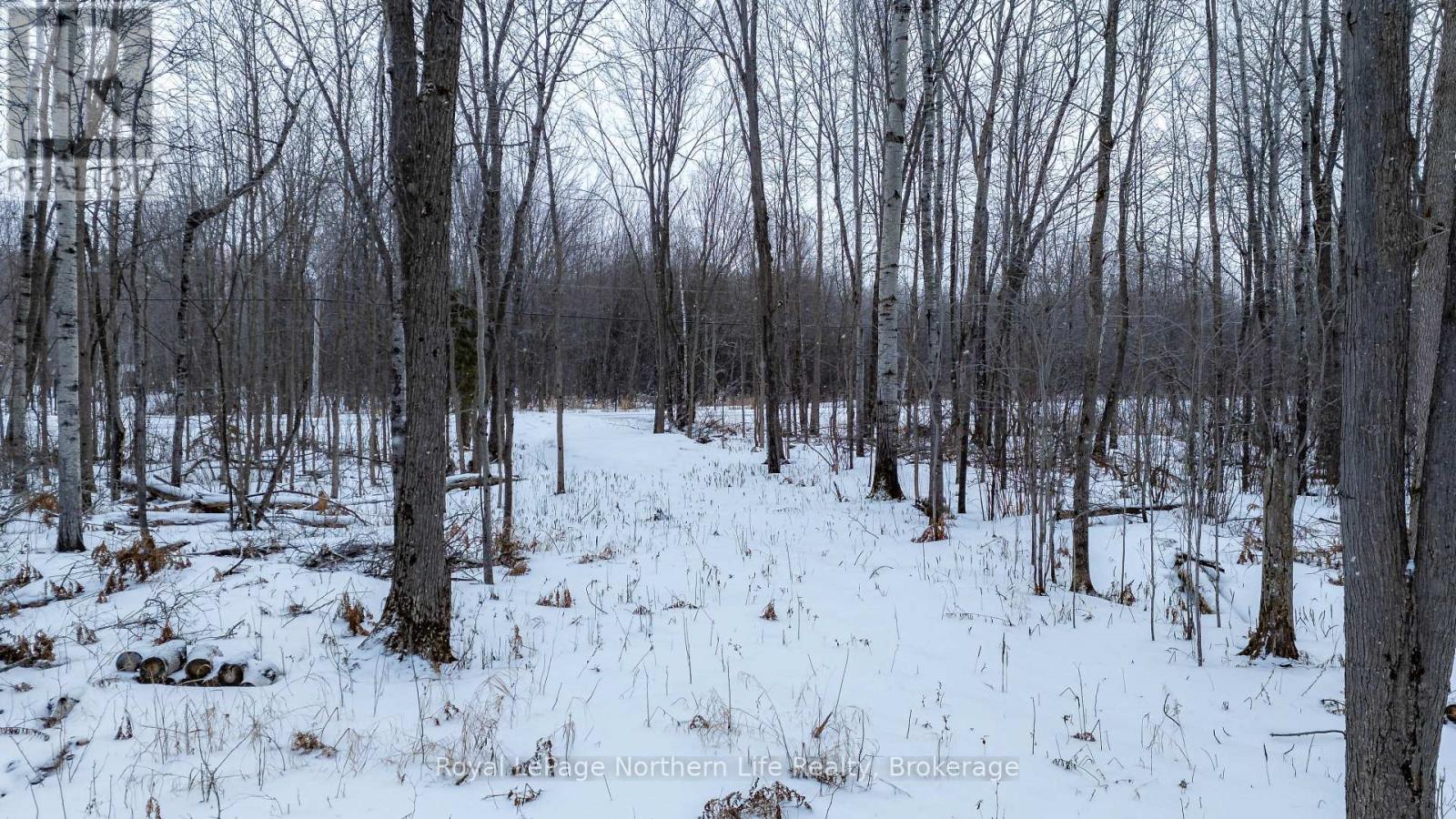 Part 3 Lot 26 Tillicum Bay Road, Callander, Ontario  P0H 1H0 - Photo 22 - X12885828