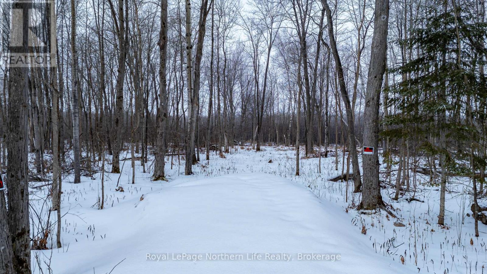 Part 3 Lot 26 Tillicum Bay Road, Callander, Ontario  P0H 1H0 - Photo 26 - X12885828