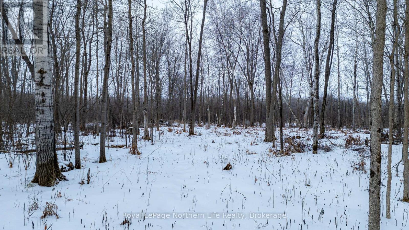 Part 3 Lot 26 Tillicum Bay Road, Callander, Ontario  P0H 1H0 - Photo 27 - X12885828