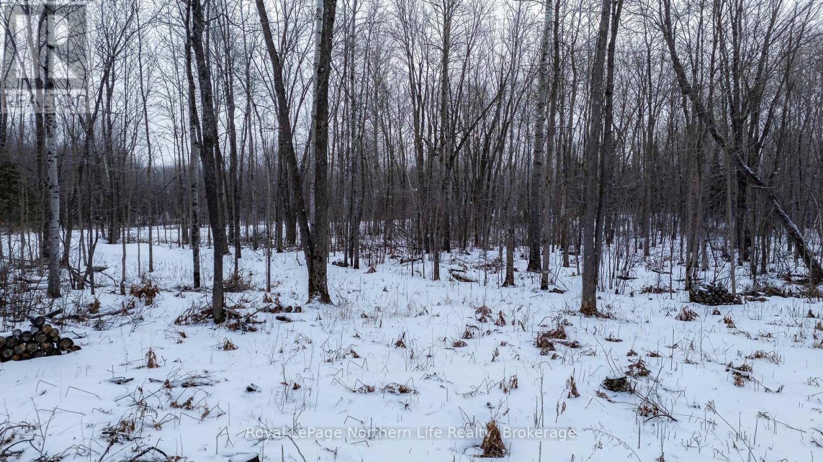 Part 3 Lot 26 Tillicum Bay Road, Callander, Ontario  P0H 1H0 - Photo 28 - X12885828