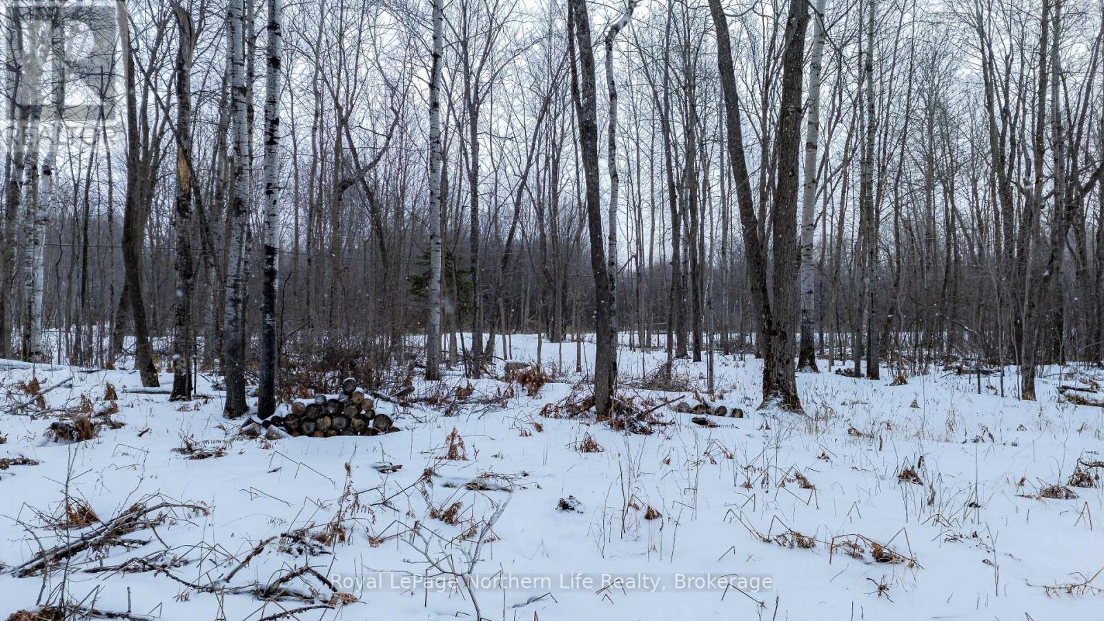Part 3 Lot 26 Tillicum Bay Road, Callander, Ontario  P0H 1H0 - Photo 29 - X12885828