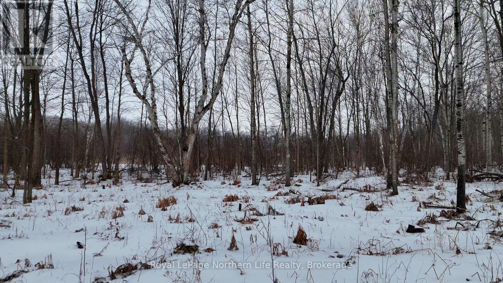 Part 3 Lot 26 Tillicum Bay Road, Callander, Ontario  P0H 1H0 - Photo 3 - X12885828