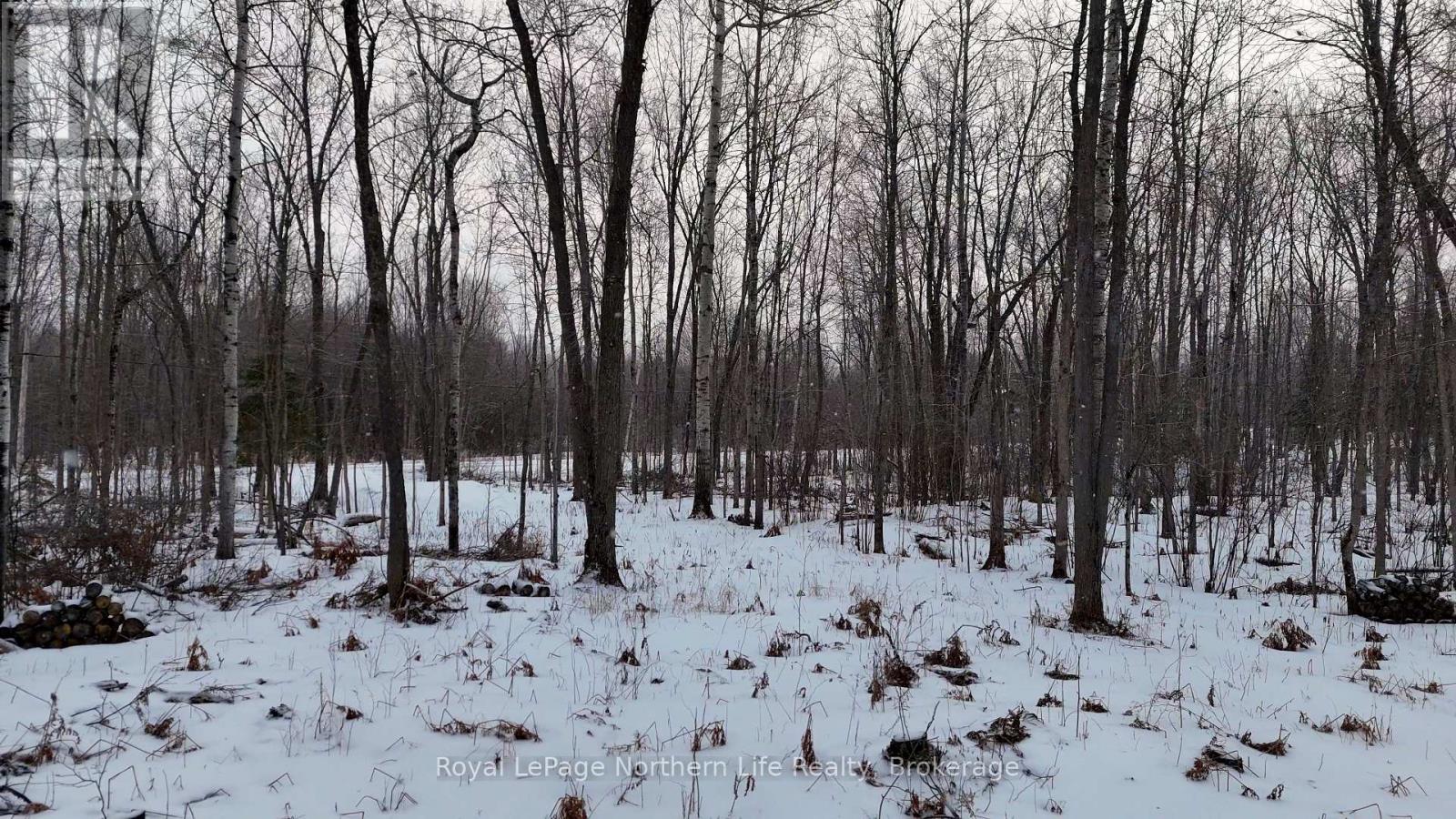 Part 3 Lot 26 Tillicum Bay Road, Callander, Ontario  P0H 1H0 - Photo 4 - X12885828