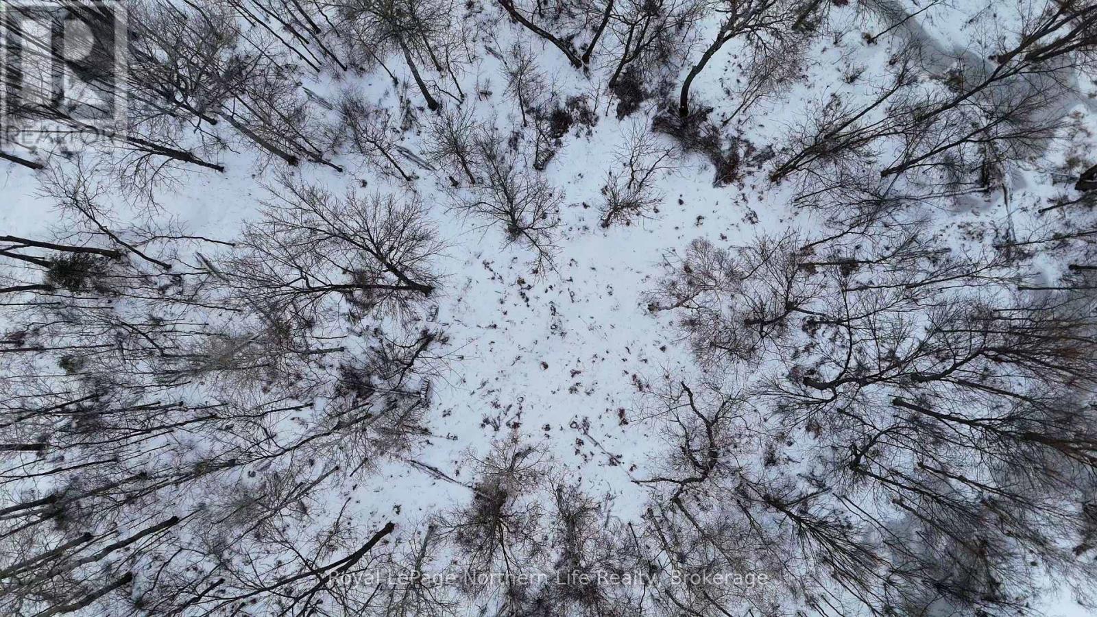 Part 3 Lot 26 Tillicum Bay Road, Callander, Ontario  P0H 1H0 - Photo 5 - X12885828