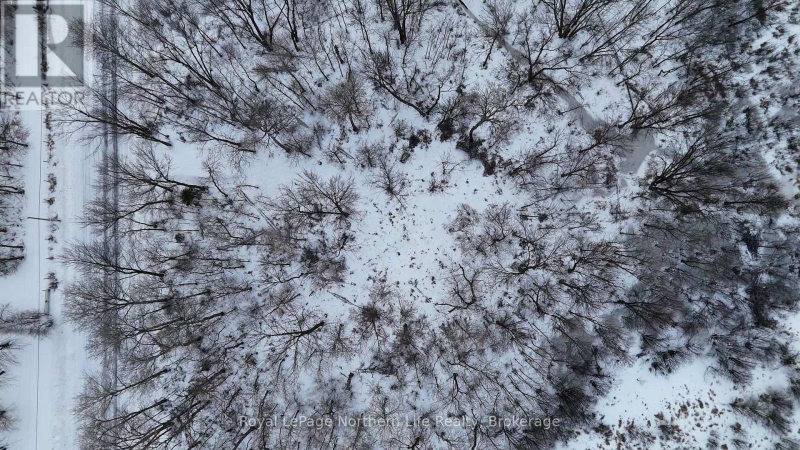 Part 3 Lot 26 Tillicum Bay Road, Callander, Ontario  P0H 1H0 - Photo 6 - X12885828