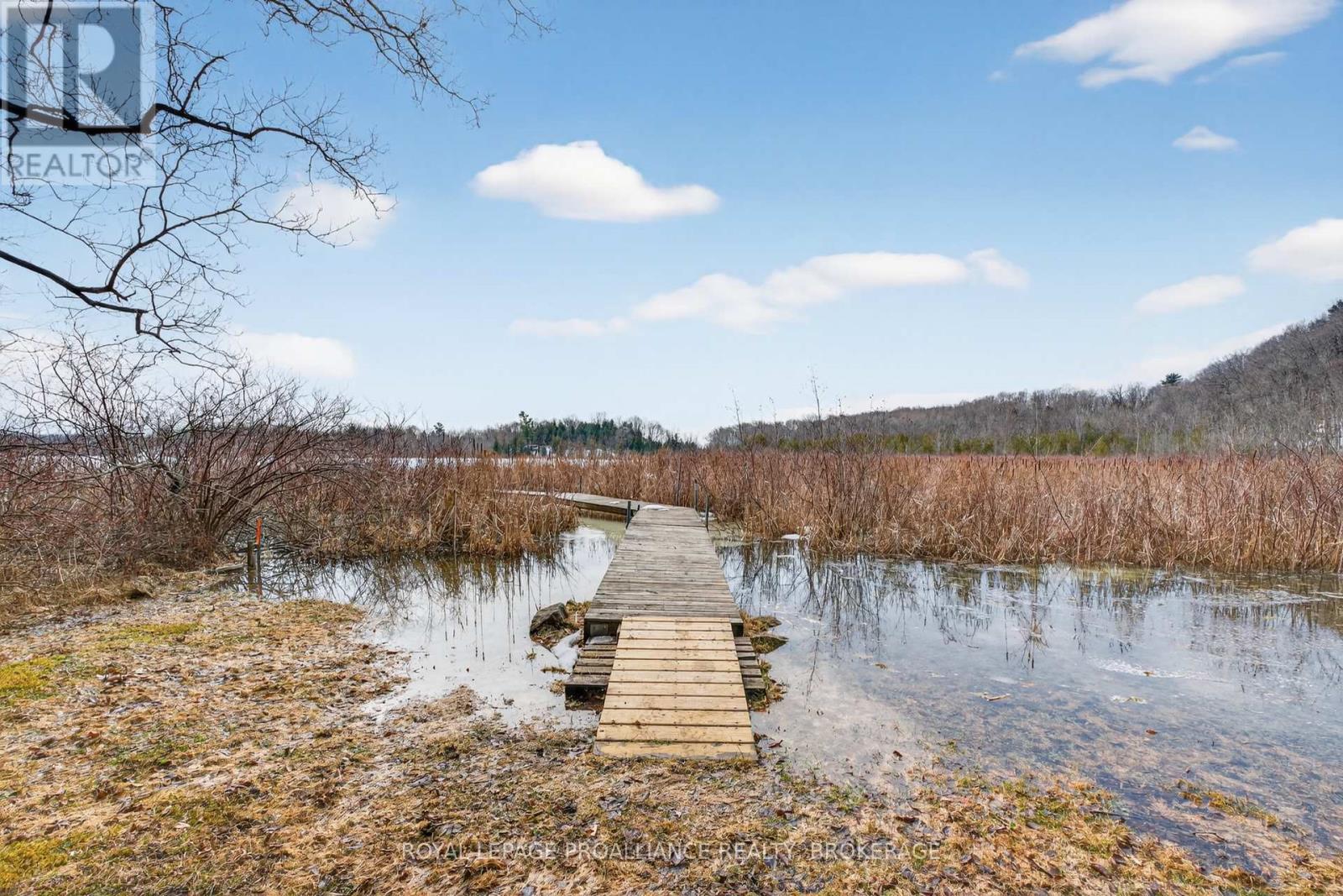 3953 Middle Woodland Drive, South Frontenac, Ontario  K0H 1X0 - Photo 35 - X12885932