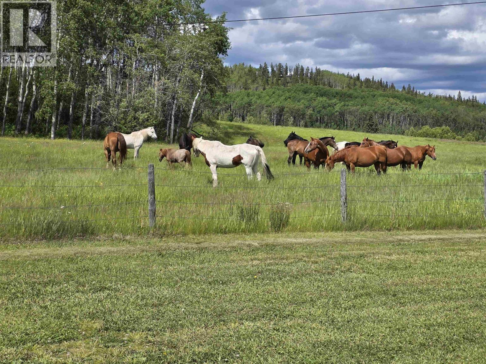 6219 Brown Road, Burns Lake, British Columbia  V0J 1E2 - Photo 33 - R3099899