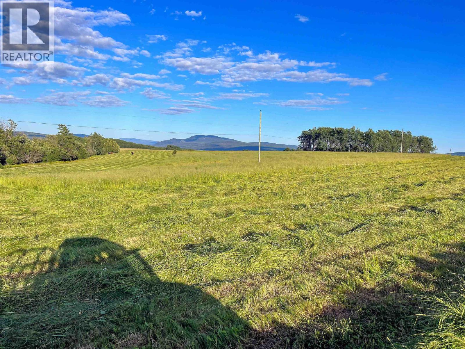 6219 Brown Road, Burns Lake, British Columbia  V0J 1E2 - Photo 34 - R3099899